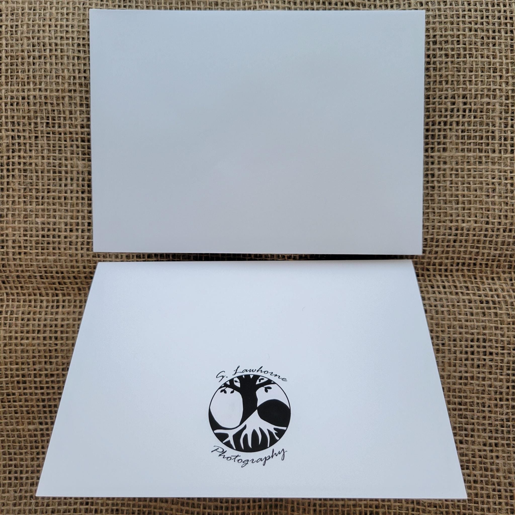 https://i.etsystatic.com/55927220/r/il/bd04e4/6568206710/il_fullxfull.6568206710_e8ym.jpg