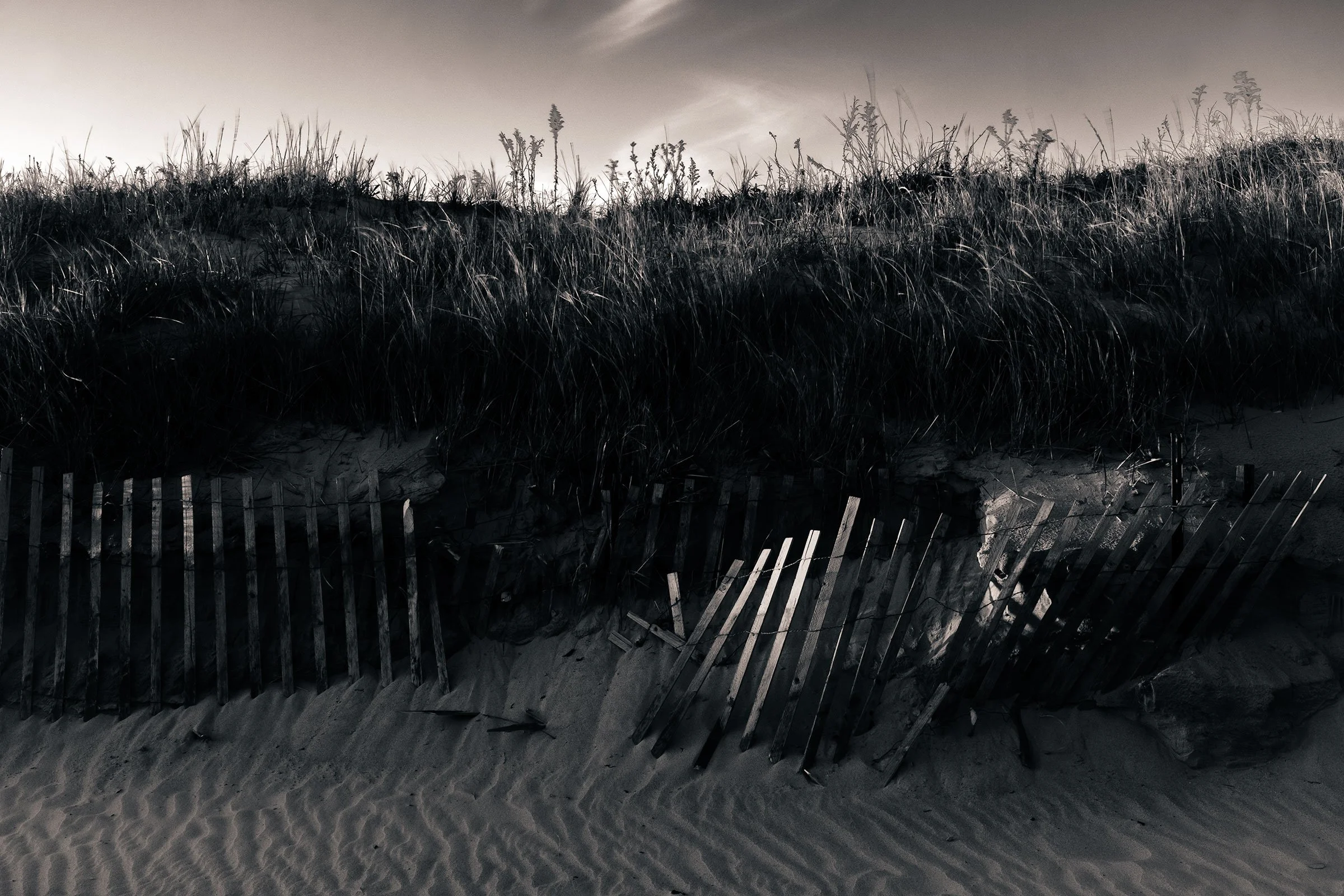 S Lawhorne Photography | Second_Beach-Dune_Fence.jpg