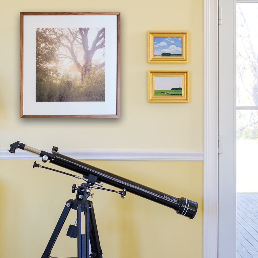 S Lawhorne Photography - Mount Saviour in situ.png