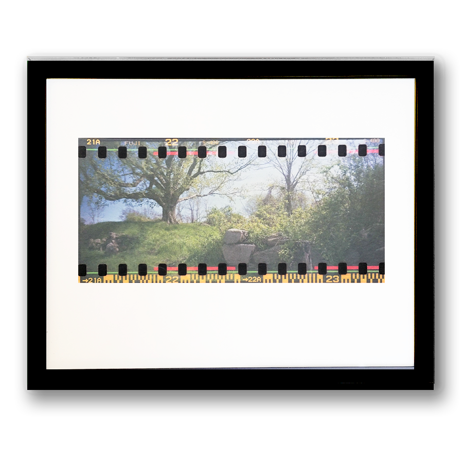 S Lawhorne Photography - Unnoticed Pano Framed transparent.png