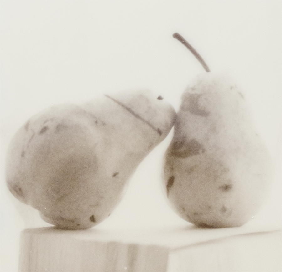 S Lawhorne Photography - Pear Duo Polaroid detail.png