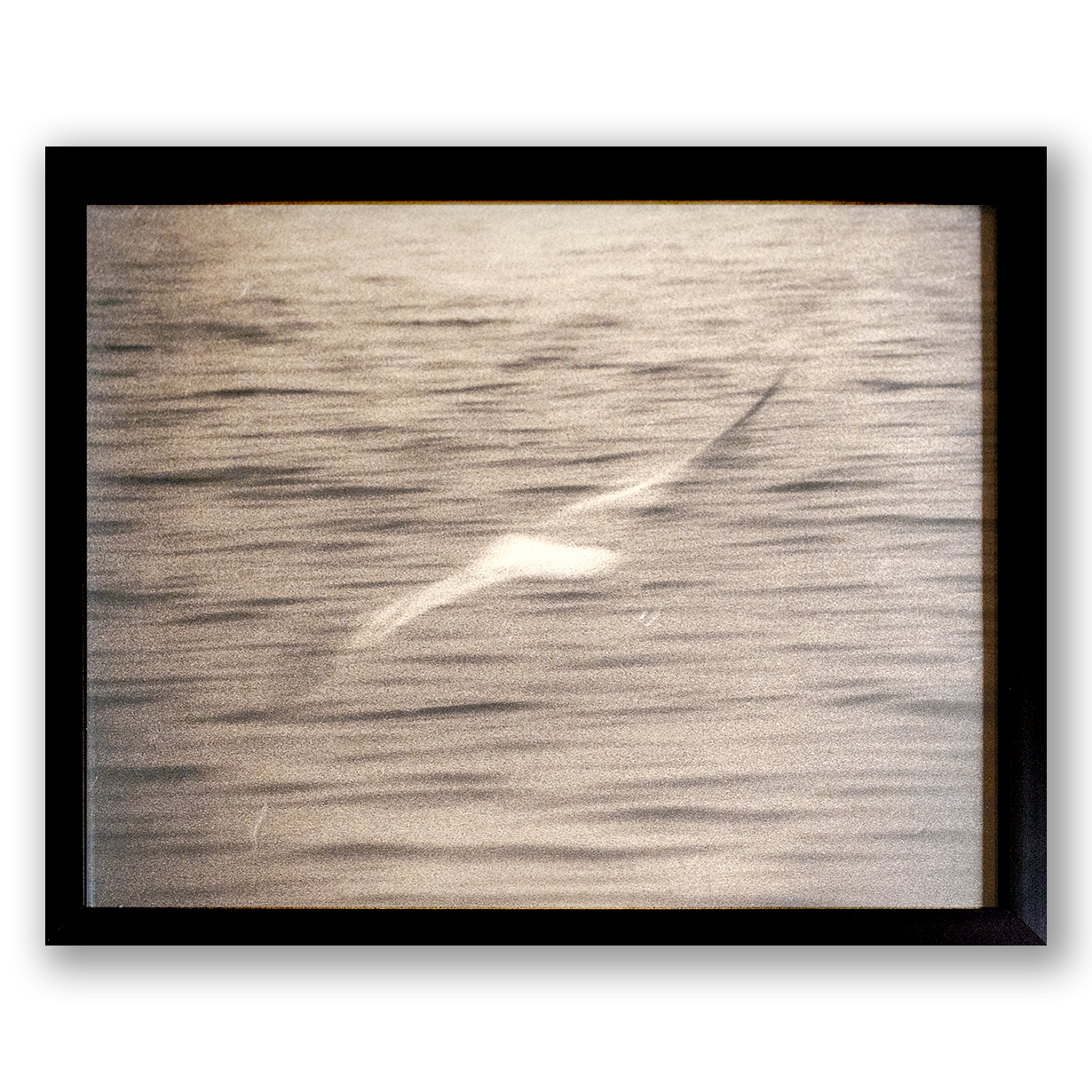 S Lawhorne Photography - Are You Ready Framed transparent.png