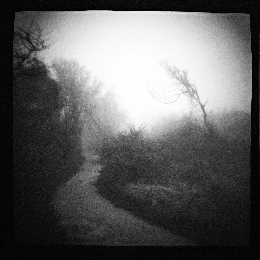S Lawhorne Photography | black-point-foggy-path-dark.jpg