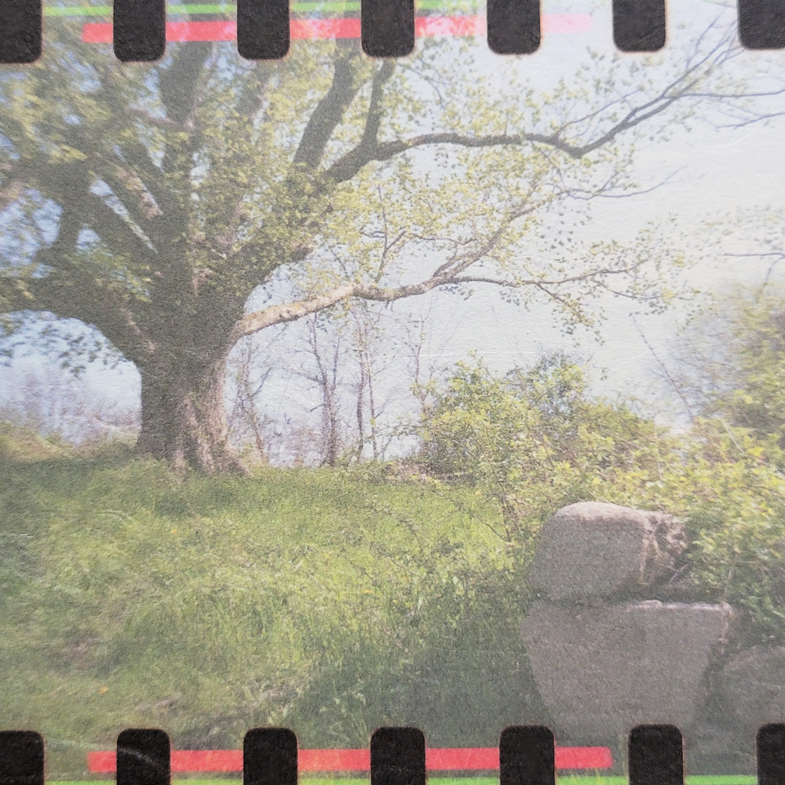 S Lawhorne Photography - Unnoticed Pano Detail.png