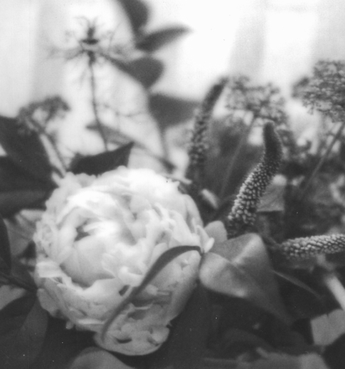 S Lawhorne Photography - Peony Bouquet iii Detail.png