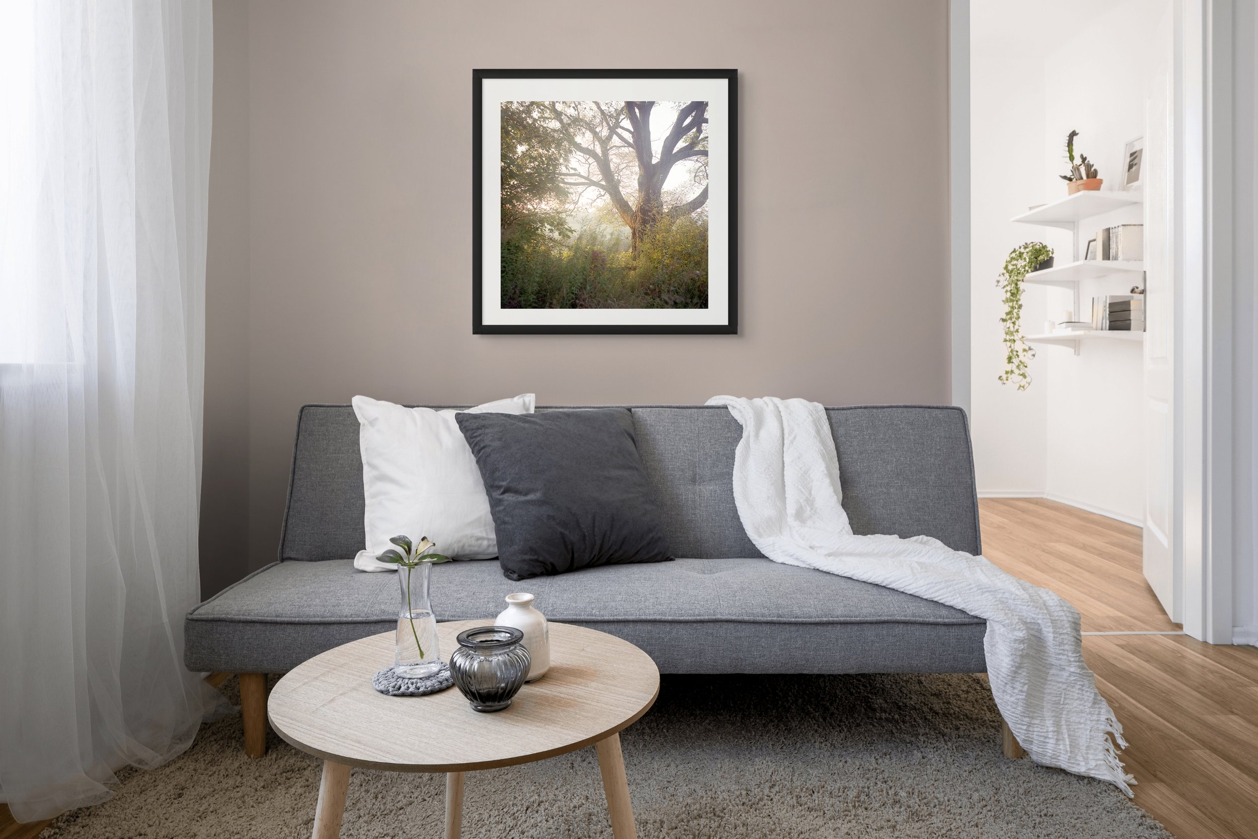 mt-saviour-sunrise-tree-framed.jpg