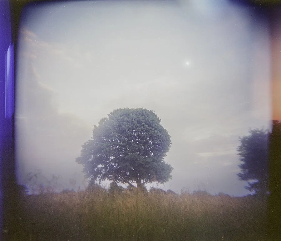 S Lawhorne Photography | sk land trust-tree-and-moon.jpg