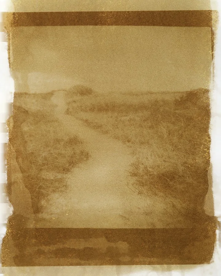S Lawhorne Photography | turmeric-anthotype-dune-path.jpg
