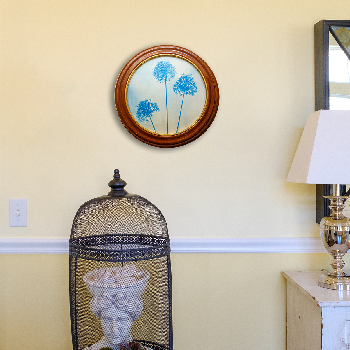 S Lawhorne Photography - allium in situ.png
