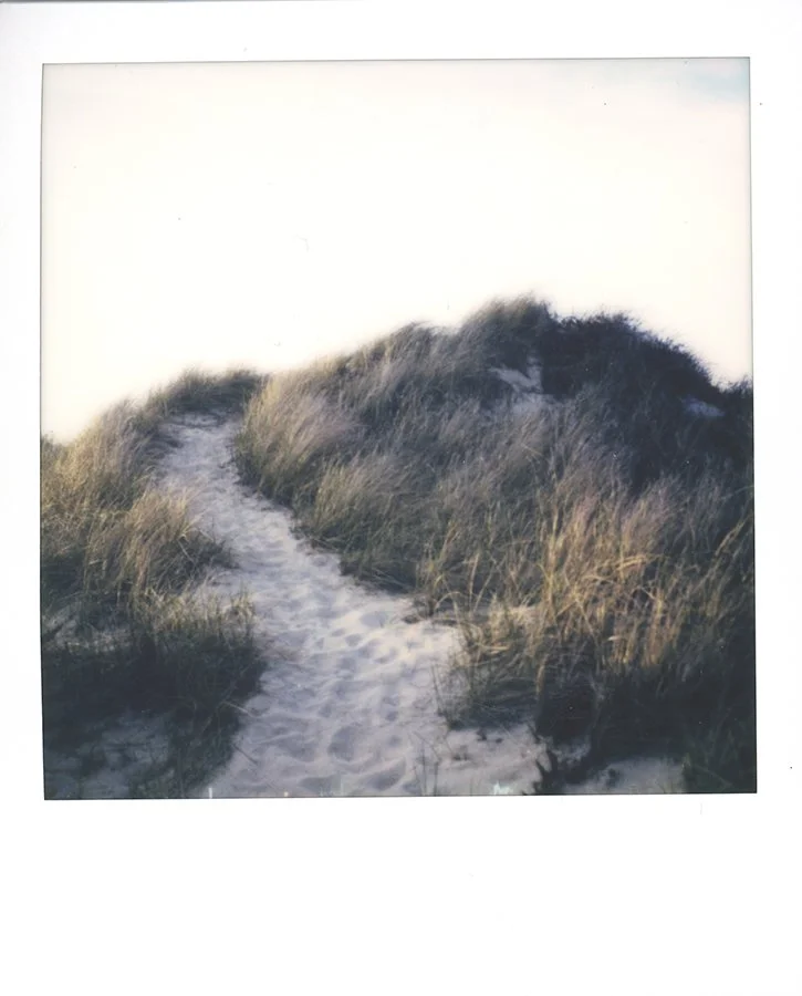 S Lawhorne Photography | polaroid-crosby-landing-cape-cod-dune-path.jpg