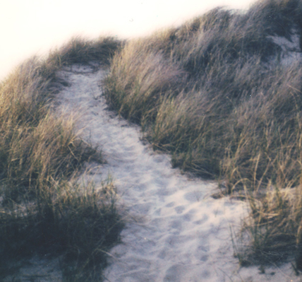 S Lawhorne Photography - Dune path polaroid detail.png