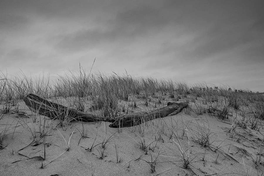 S Lawhorne Photography - sand-dunes-east-beach-grey-day-log.jpg