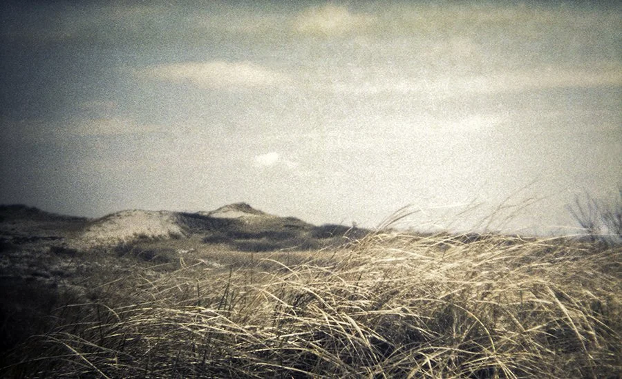 a view of sand dunes at sandy neck in cape cod