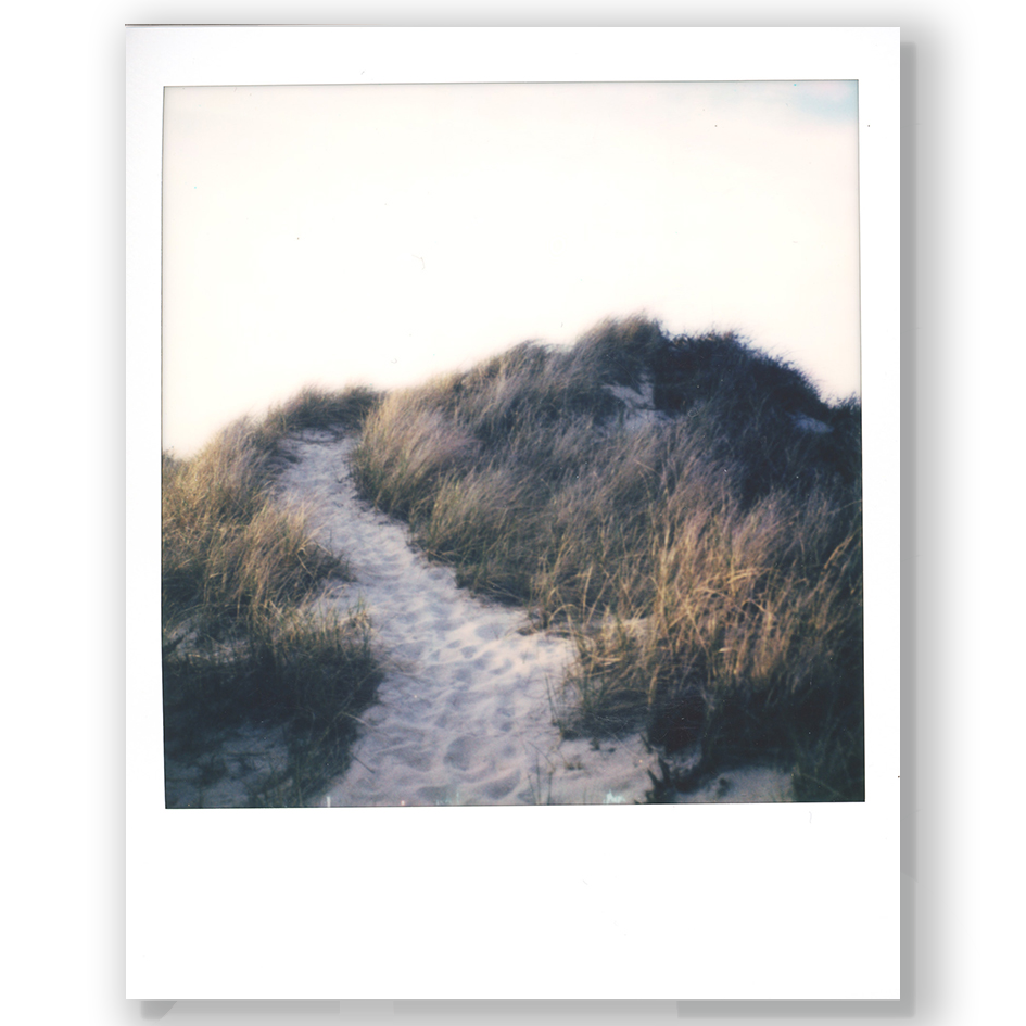 S Lawhorne Photography - Dune path polaroid.png