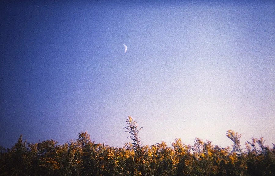 S Lawhorne Photography | sk land trust-goldenrod-moon.jpg