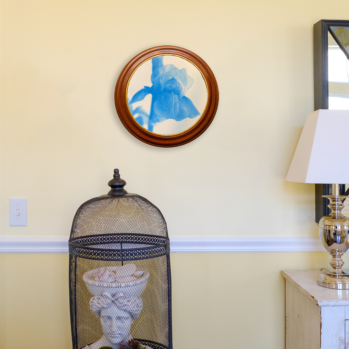 S Lawhorne Photography - iris in situ.png