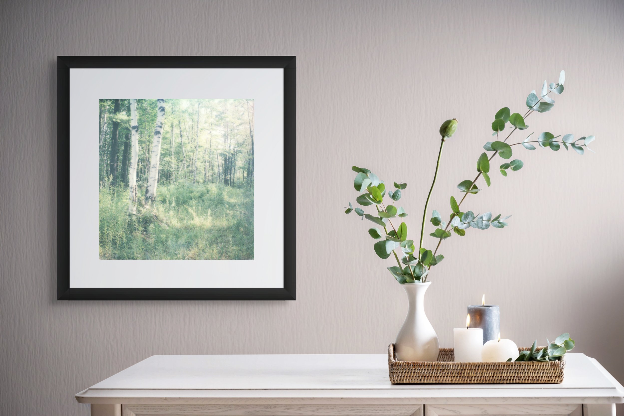quiet-light-birch-trees-polaroid-framed.jpg