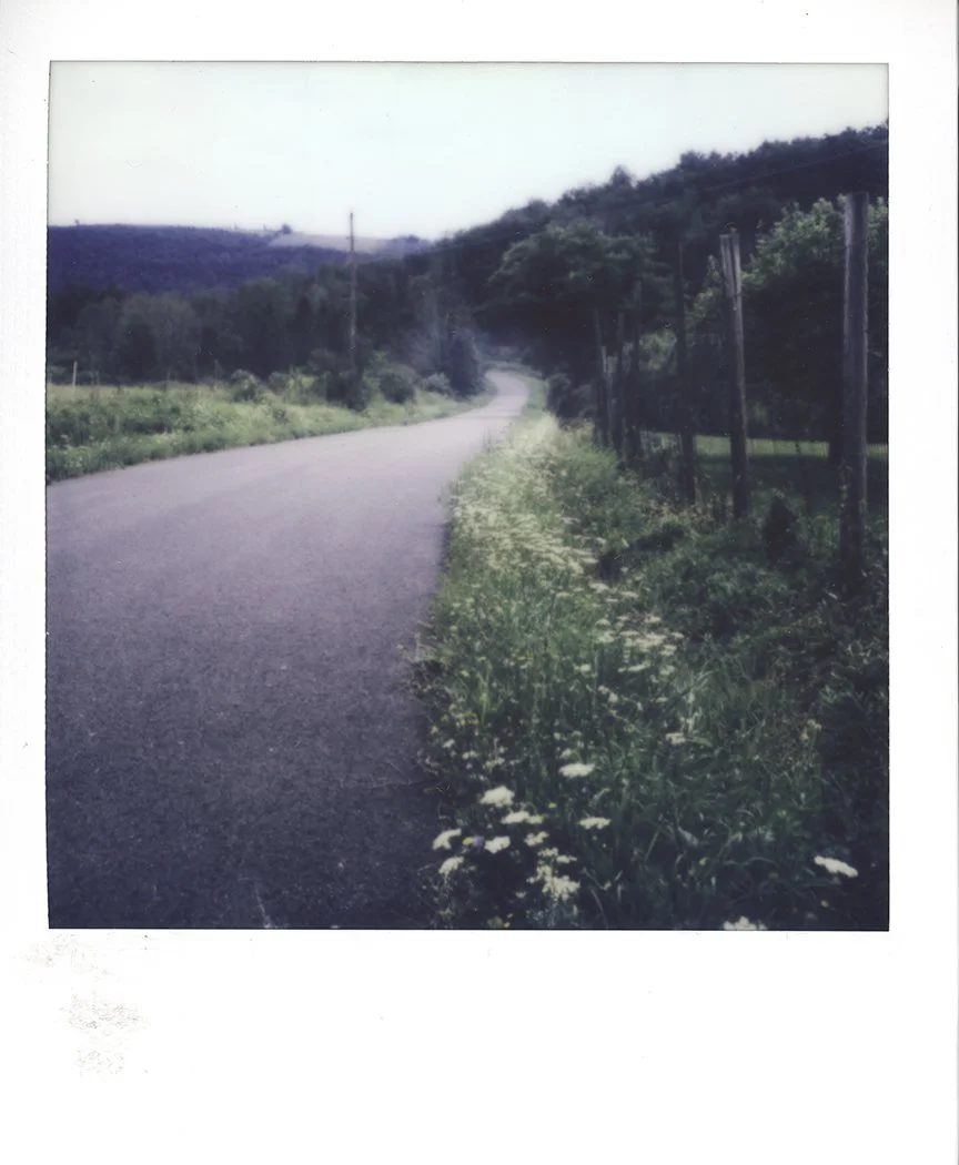 S Lawhorne Photography | back-road-with-wildflowers-polaroid-sx70.jpg