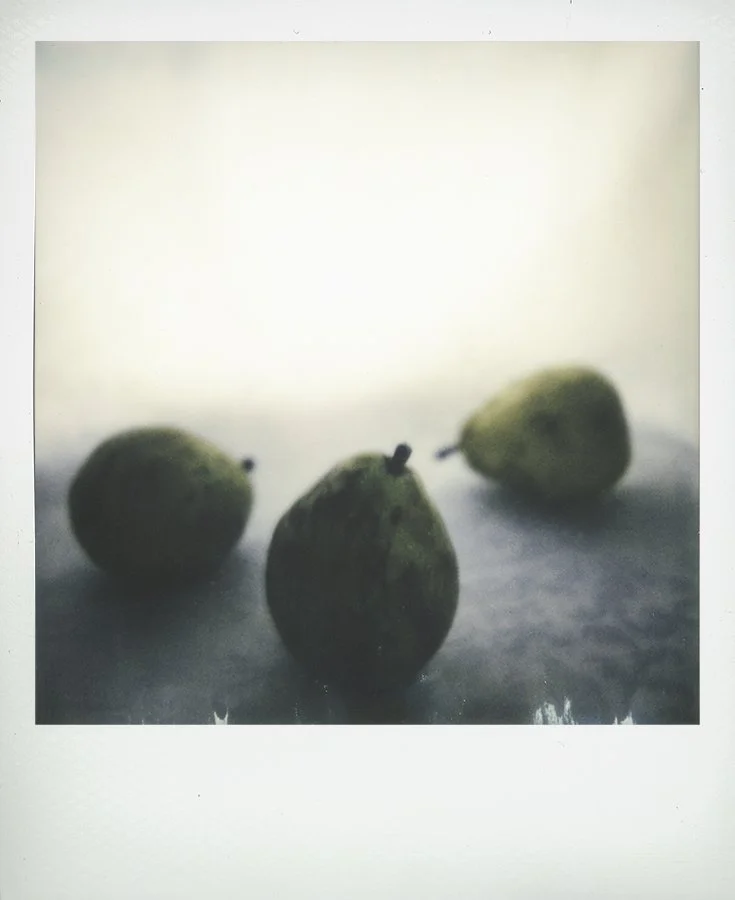 S Lawhorne Photography | Pear Trio V Polaroid.jpg