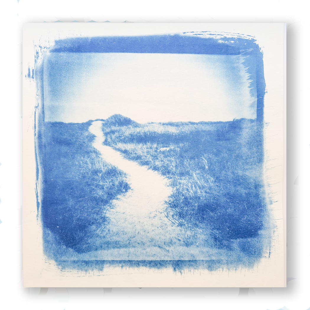 Brewster • Original Cyanotype