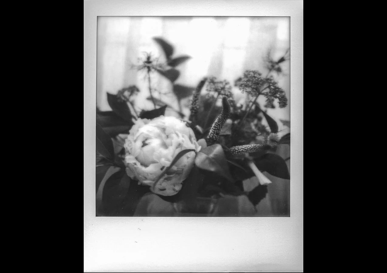 polaroid-peony-bouquet.jpg
