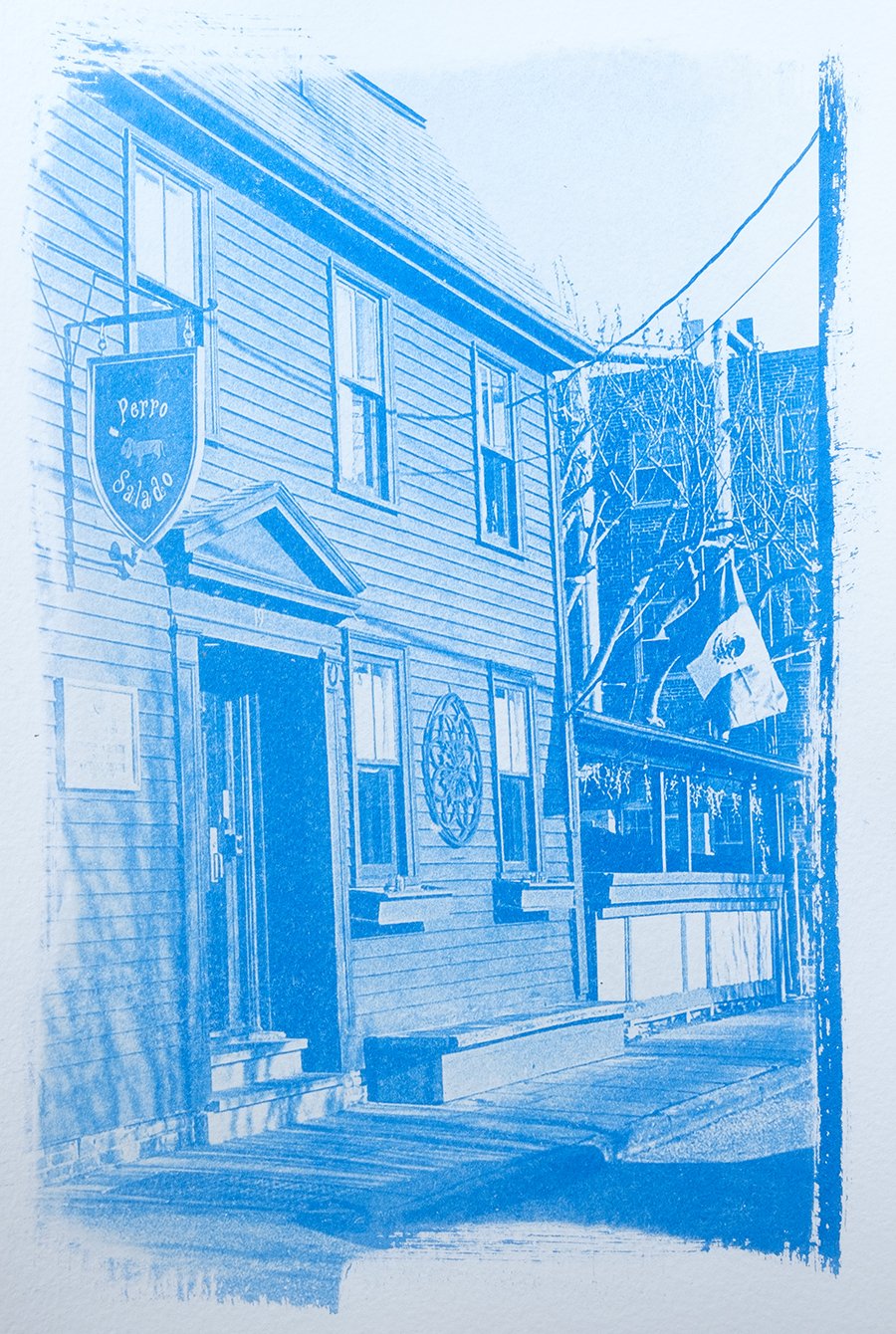 S Lawhorne Photography - Perro Salado Newport RI.jpg