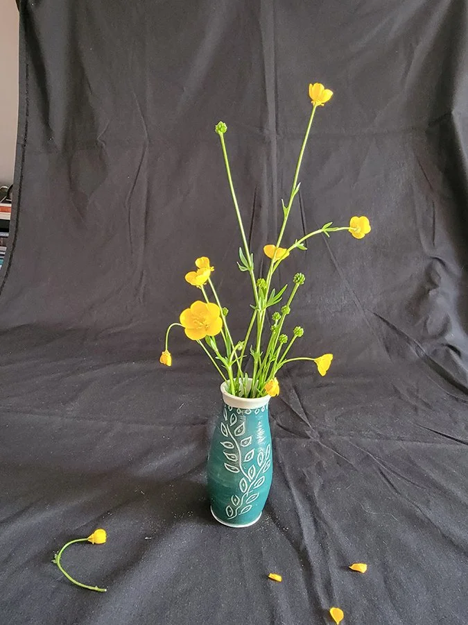 S Lawhorne Photography - Buttercup Still Life Setup.jpg