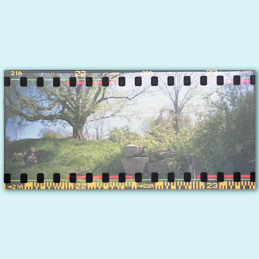 S Lawhorne Photography - Unnoticed Pano Photo.png