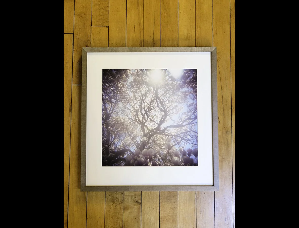 holga-magnolia-framed-wood-background.jpg