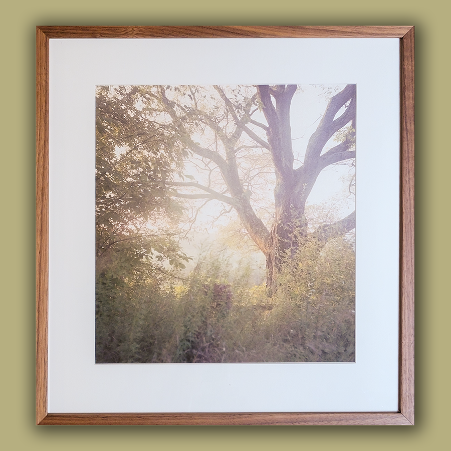 S Lawhorne Photography - Mount Saviour Framed.png