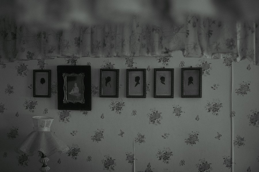 S Lawhorne Photography | cameo-portraits-on-wall-antique.jpg