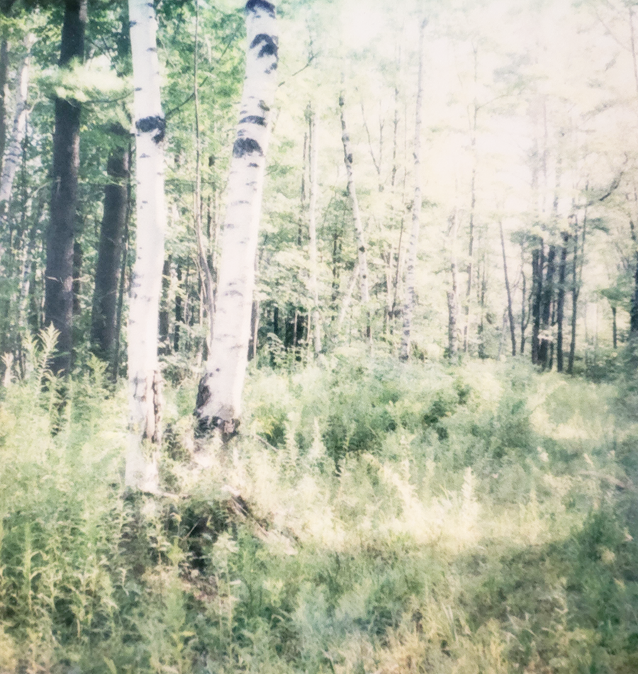 S Lawhorne PHotography - Quiet Light Print detail.png