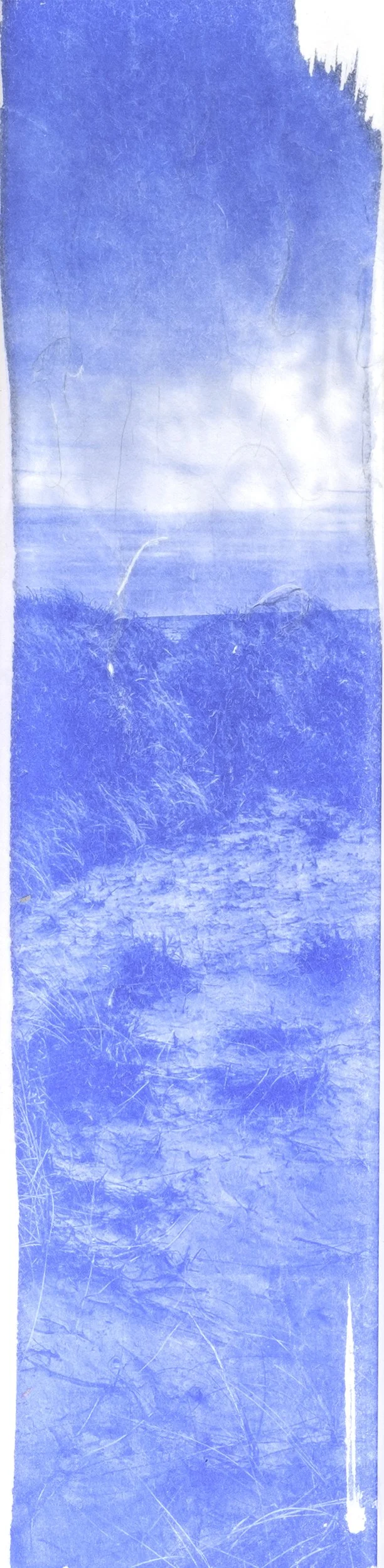 Oceanscape 7.jpg