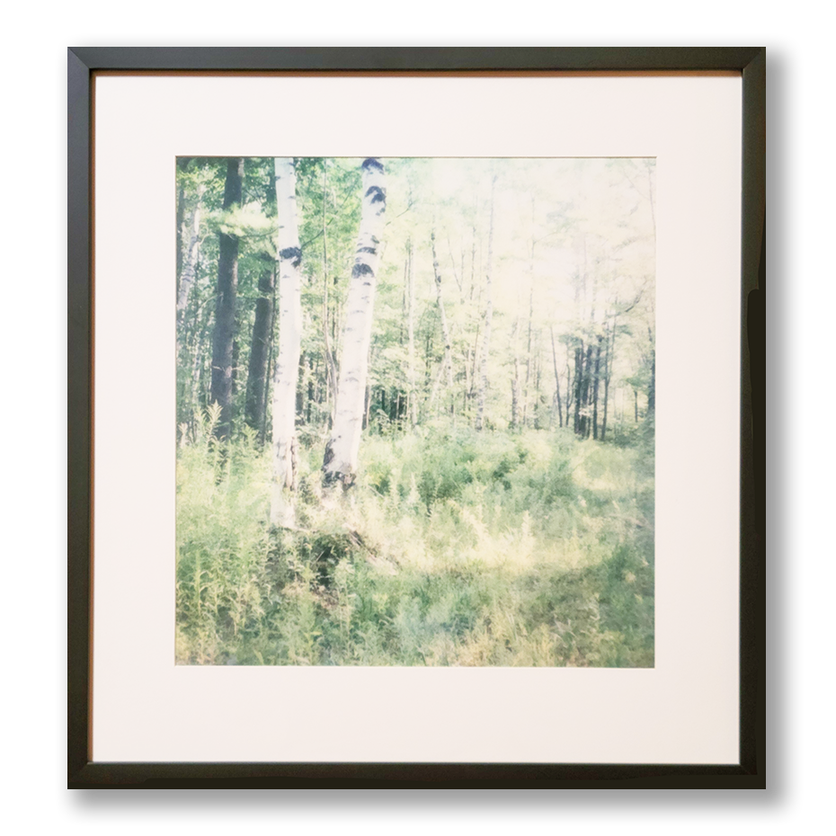 S Lawhorne Photography - Quiet Light Print Framedtransparent.png