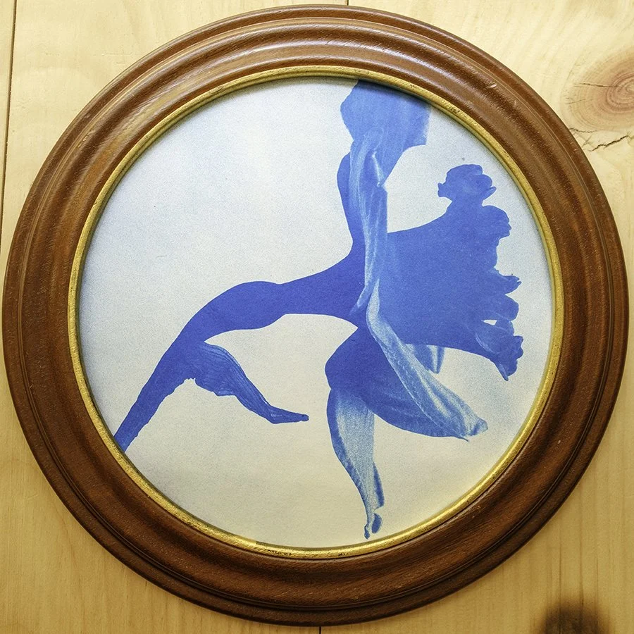 S Lawhorne Photography - Daffodil Framed.jpg