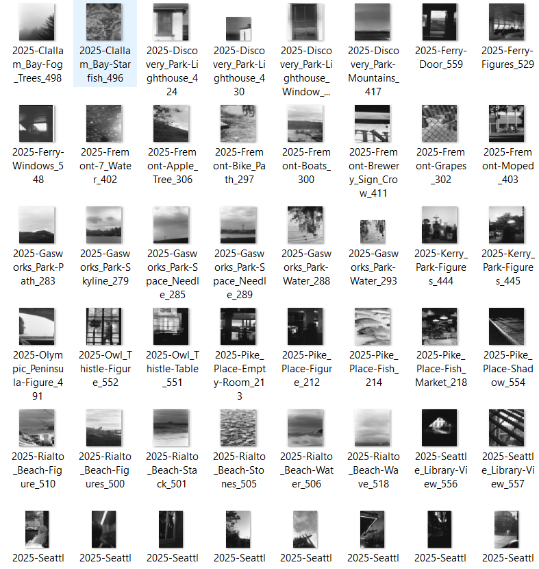 a screenshot of a digital folder on a computer, full of image files