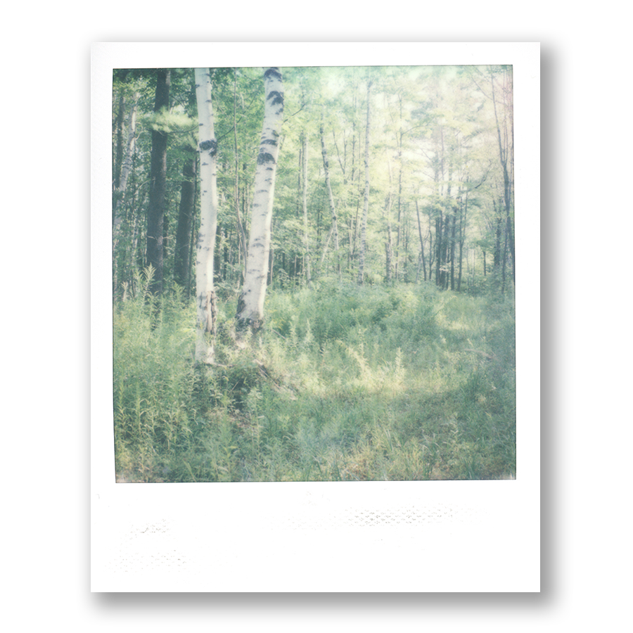 Quiet Light • Original Polaroid