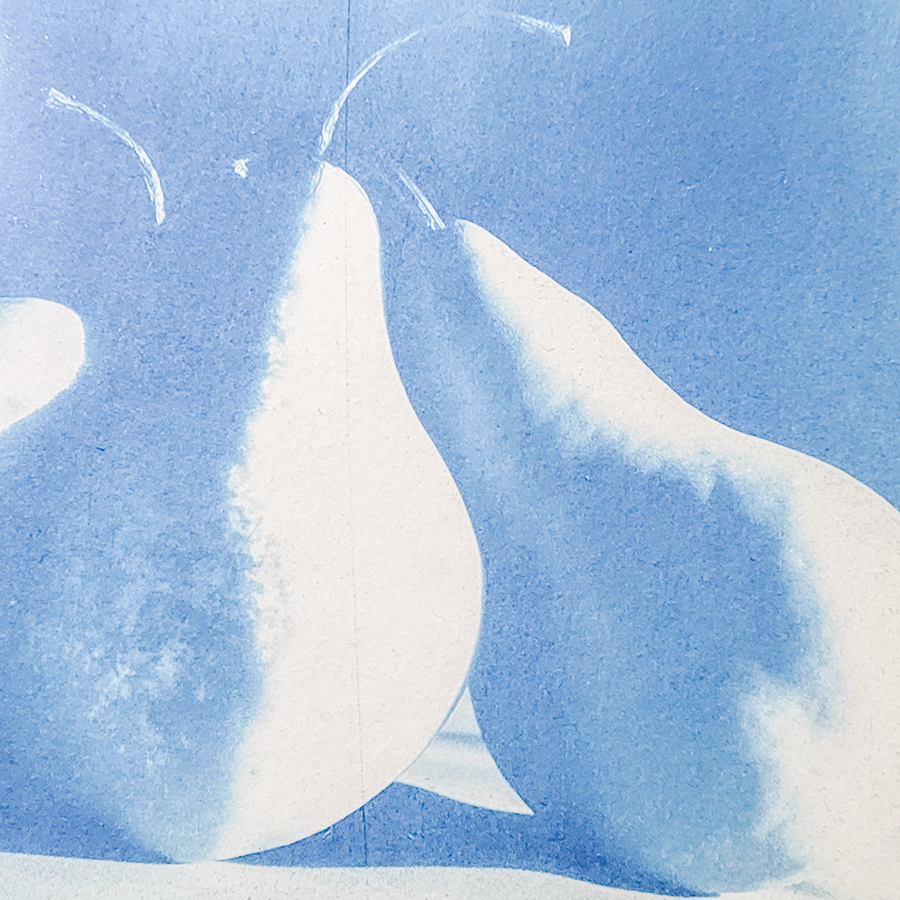S Lawhorne Photography - pear trio vi detail.png