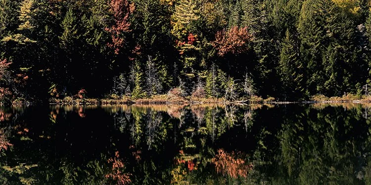 S Lawhorne Photography - new-hampshire-foliage-pano-small.jpg