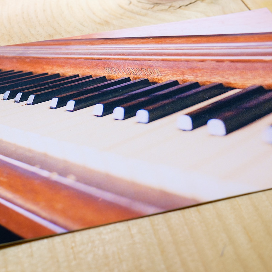 S Lawhorne Photography - Fuzzys Wellington Detail.png