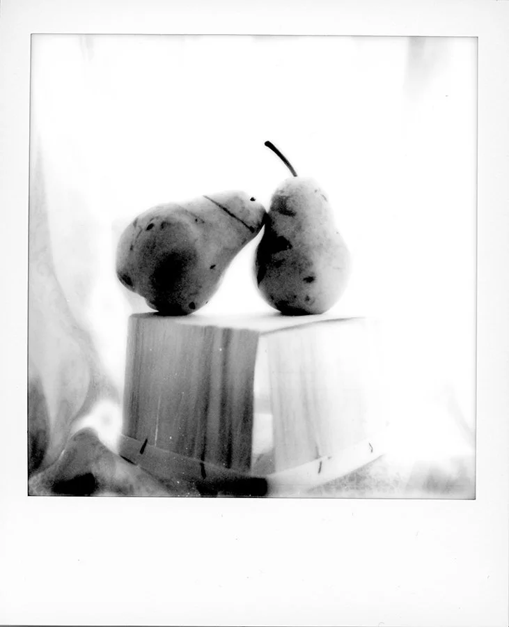 S Lawhorne Photography | polaroid-pear-duo-still-life.jpg
