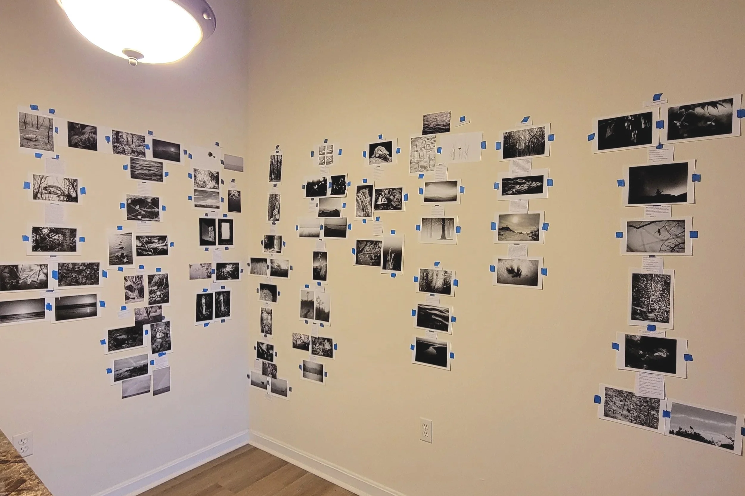 a photo of printed photos and text arranged on a wall