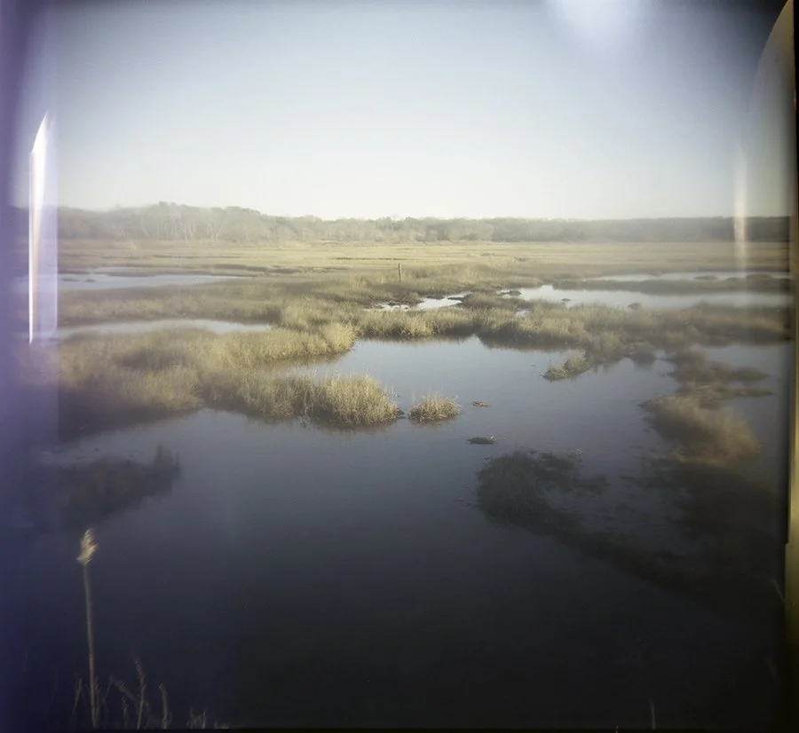 S Lawhorne Photography | winter-marsh-at-golden-hour-holga.jpg
