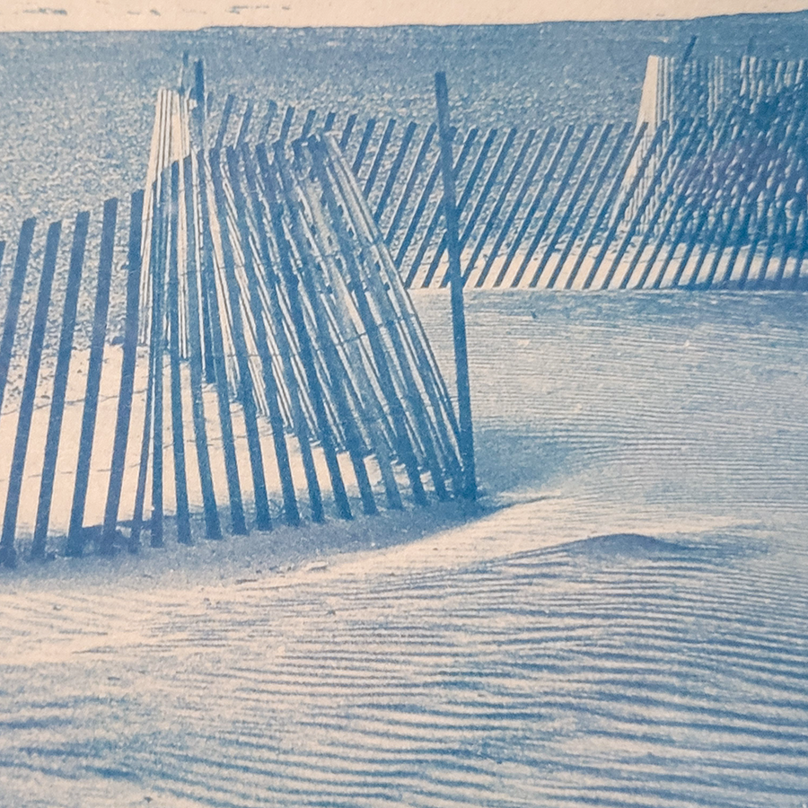 S Lawhorne Photography - Horseneck Dunes Detail.png