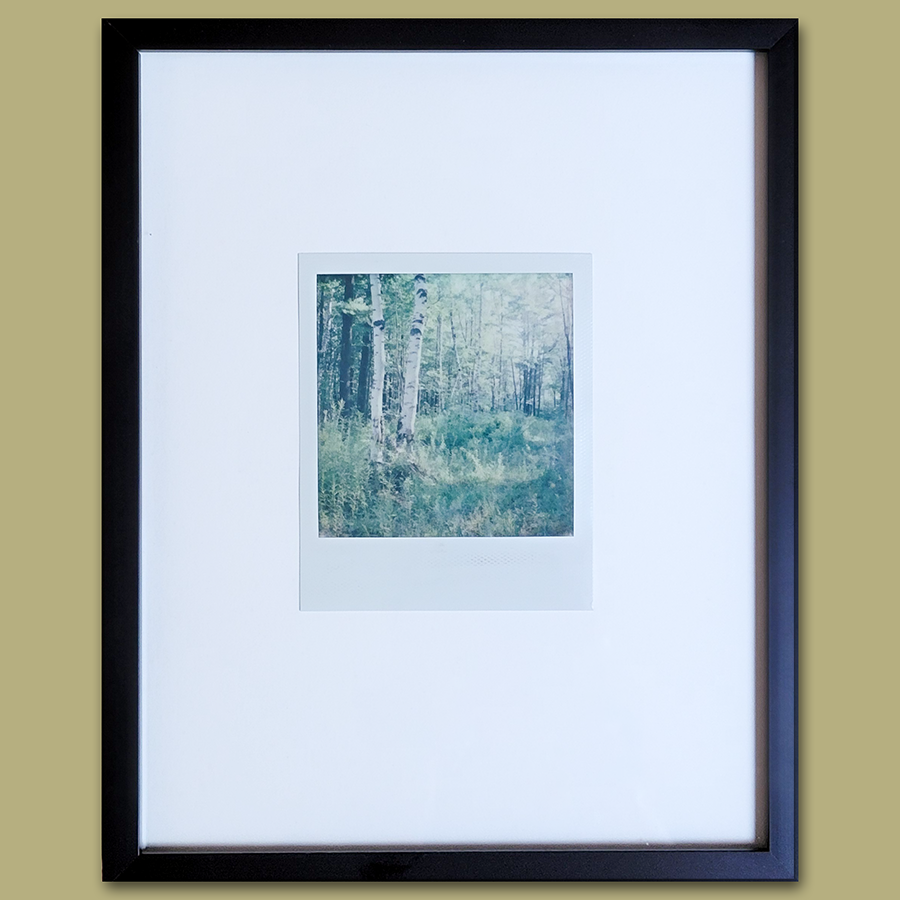 S Lawhorne Photography - Quiet Light Polaroid Framed.png