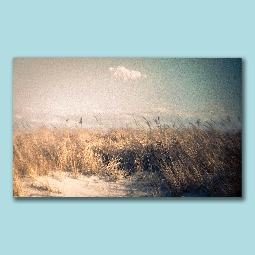 S Lawhorne Photography - Napatree Point Photo.png
