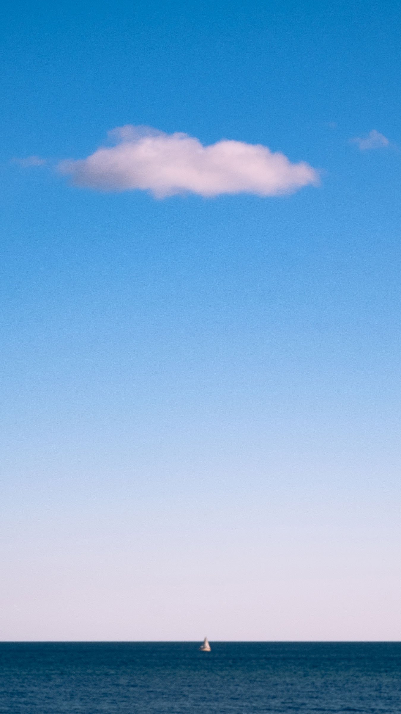 resize_DSF1475-2.jpg