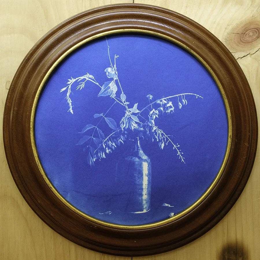 S Lawhorne Photography - Wisteria Framed.jpg