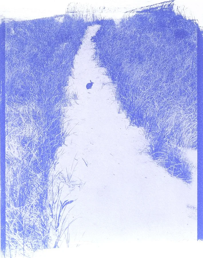 Oceanscape 12.jpg
