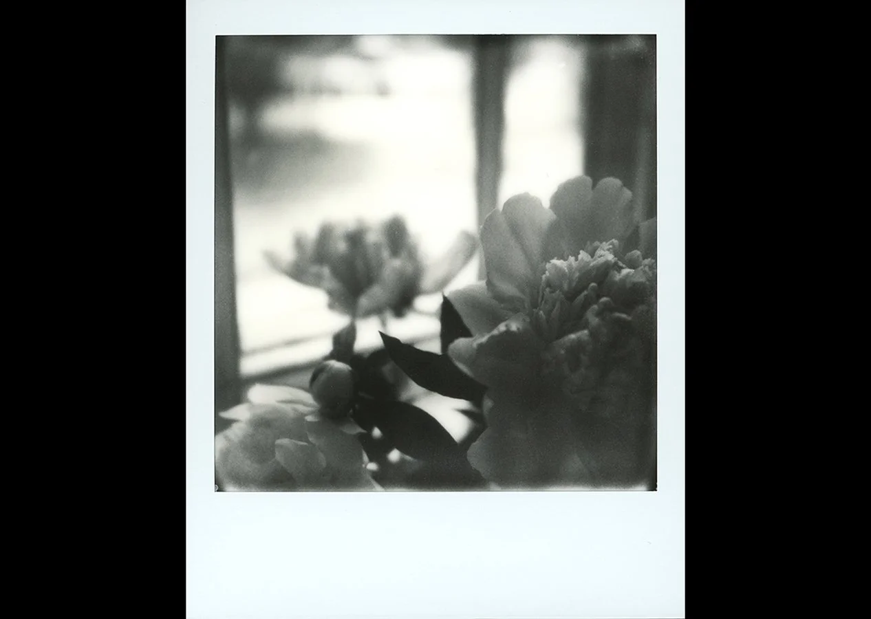 Bouquet Poem I • Original Polaroid